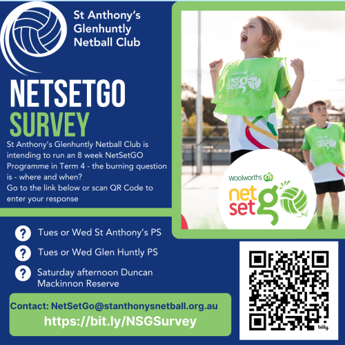 NetSetGO Survey